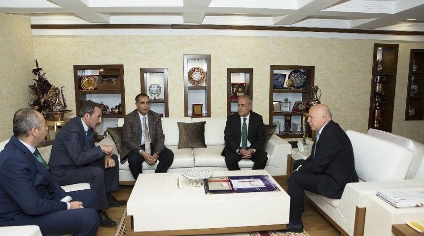 Sahipsiz Hayvanların Rehabilitasyonu Protokol&uuml;