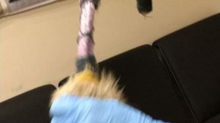 Atat&uuml;rk Havalimanı Ve Başakşehir'de Uyuşturucu Operasyonları