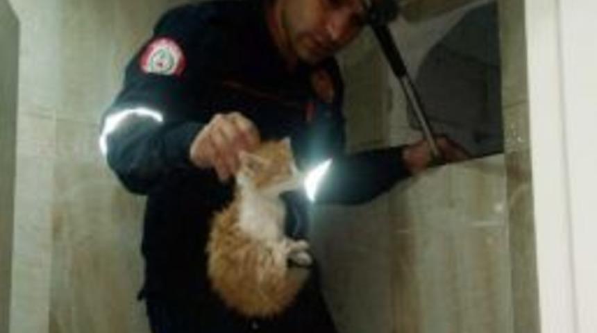Binanın Havalandırma Boşluğunda Sıkışan Kediler Kurtarıldı
