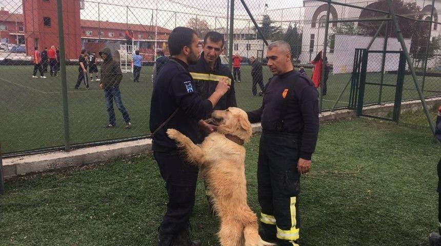 İtfaiye Ekipleri K9 Eğitimi Alıyor