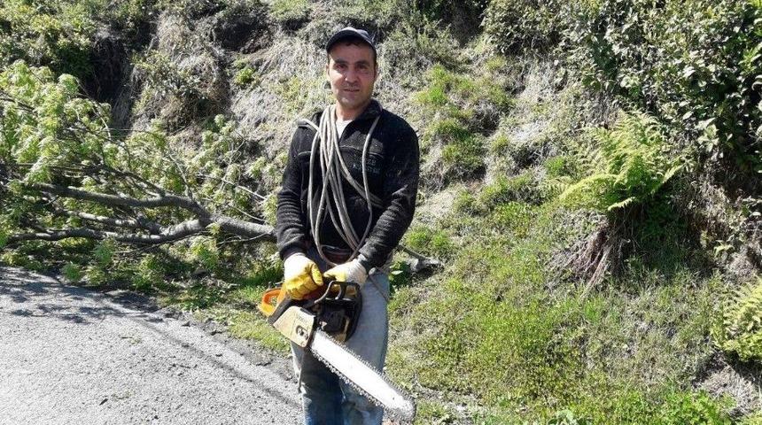 Ekmek Onun İ&ccedil;in Aslanın Midesinde Değil Ağa&ccedil;ların Tepesinde