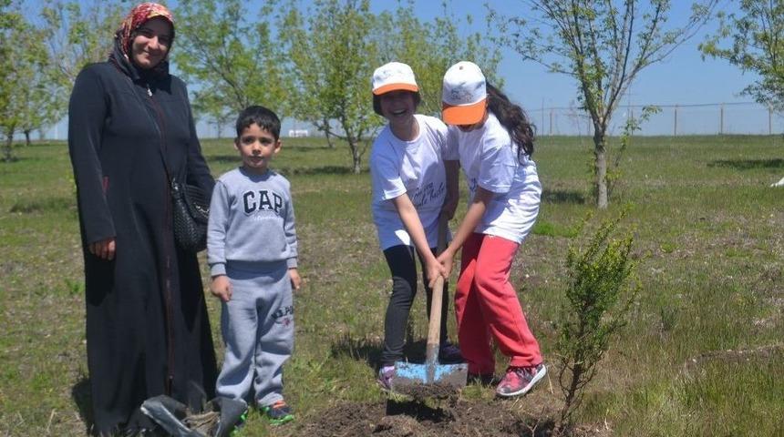 &Ouml;nce Fidan Dikip U&ccedil;urtma U&ccedil;urdu