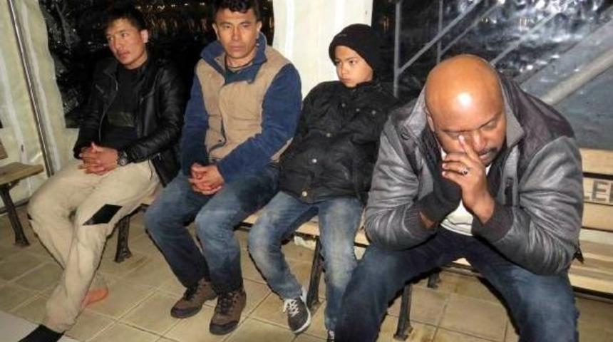 K&uuml;rek &Ccedil;ekerek Midilli'ye Gitmek Isteyen 15 Ka&ccedil;ak Yakalandı