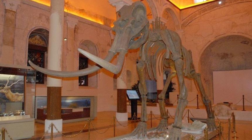 2 Milyon Yıllık Fosiller Burdur&rsquo;da Sergileniyor