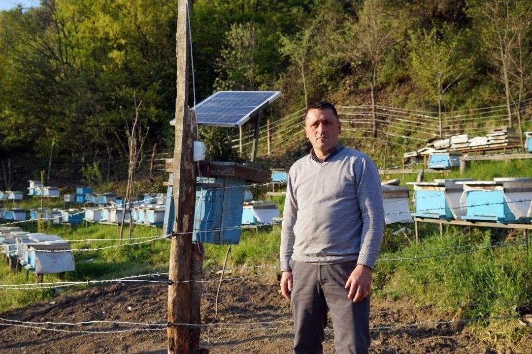 (&ouml;zel Haber) Arı Kovanlarını Ayılardan Korumak İ&ccedil;in N&ouml;bet Tutuyorlar