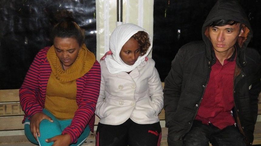 K&uuml;rek &Ccedil;ekerek Midilli&rsquo;ye Gitmek İsteyen 15 M&uuml;lteci Yakalandı