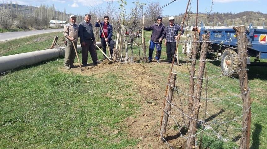 G&ouml;n&uuml;ll&uuml; İnsanlar Onlarca Fidan Dikti