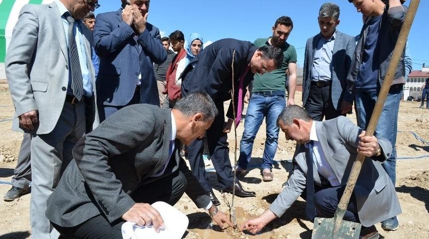Adilcevaz&rsquo;da &Uuml;niversite &Ouml;ğrencileri Fidan Dikti