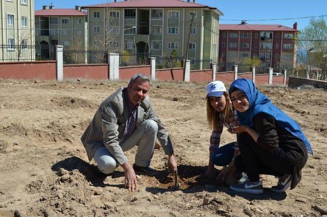 Adilcevaz’da Üniversite Öğrencileri Fidan Dikti