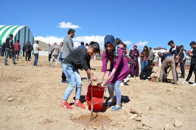 Adilcevaz’da Üniversite Öğrencileri Fidan Dikti