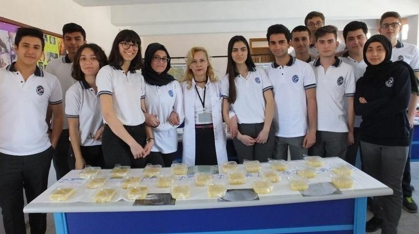 Liseli &Ouml;ğrenciler H&ouml;şmerim Yaptı