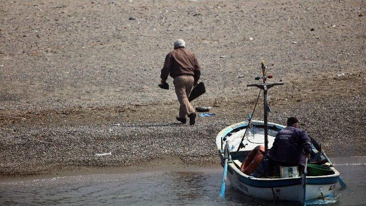 Yunusların Silahla Vurulması İnceleme Altında G1