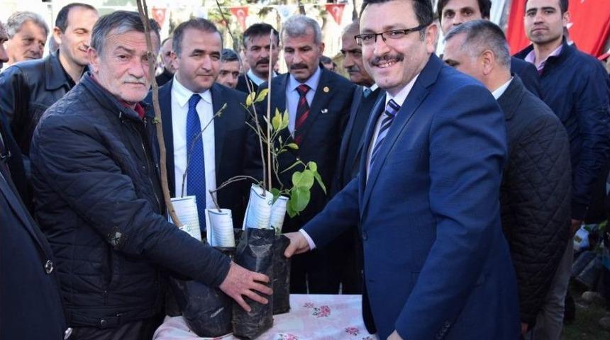 &rsquo;y&ouml;resel Meyve &Ccedil;eşitlerinin Korunması Ve Yaygınlaştırılması Projesi&rsquo; Kapsamında Vatandaşlara Meyve Fidanı Dağıtıldı