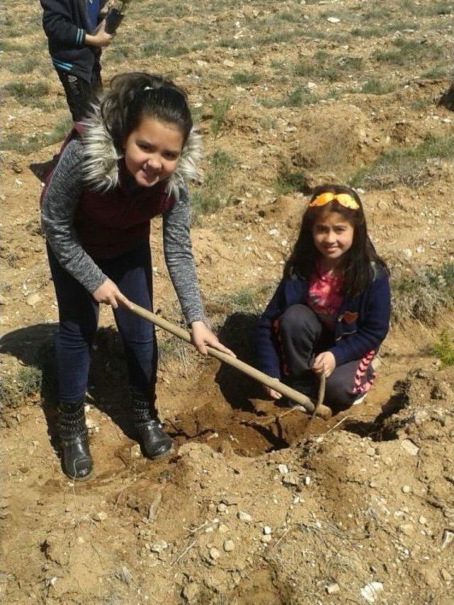 27 Ağustos İlkokulundan Örnek Olacak Doğa Etkinliği