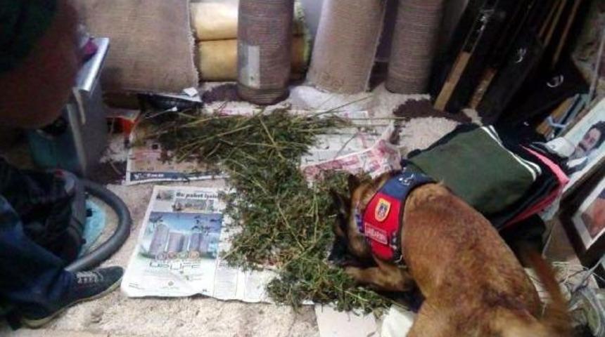 Uyuşturucudan G&ouml;zaltına Alınan Oyuncu Adliyede