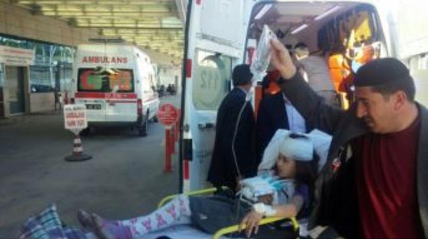 Eşek Tarafından Isırılan 3 &Ccedil;ocuk Hastaneye Kaldırıldı