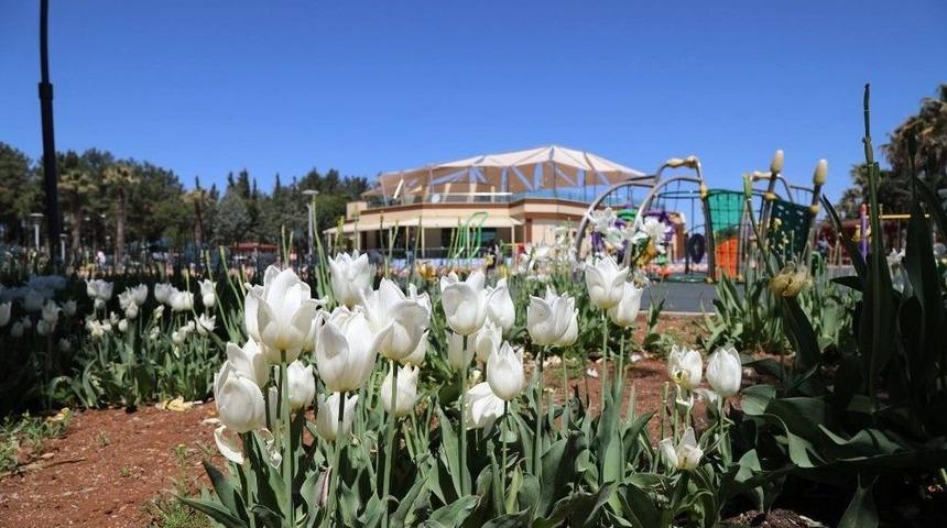 G&ouml;l Restorant Hizmete Başladı