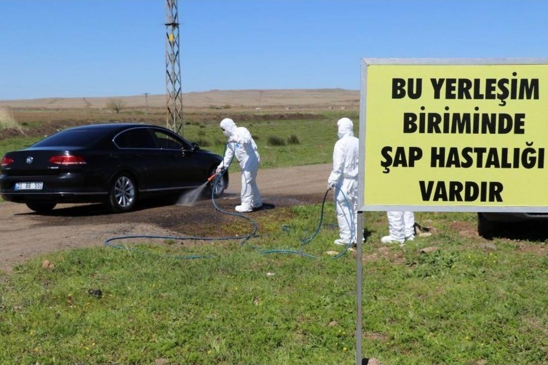 Diyarbakır&rsquo;da Şap Hastalığı Tatbikatı Yapıldı