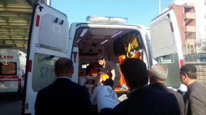 Pervari'de Eşeğin Isırdığı 3 &Ccedil;ocuk Hastanelik Oldu