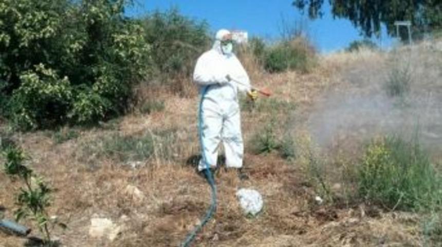 D&uuml;zce Belediyesi Haşere İle M&uuml;cadele &Ccedil;alışması Başlattı