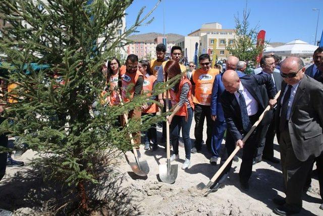 Çolakbayrakdar, Üniversite Öğrencileriyle Birlikte Fidan Dikti