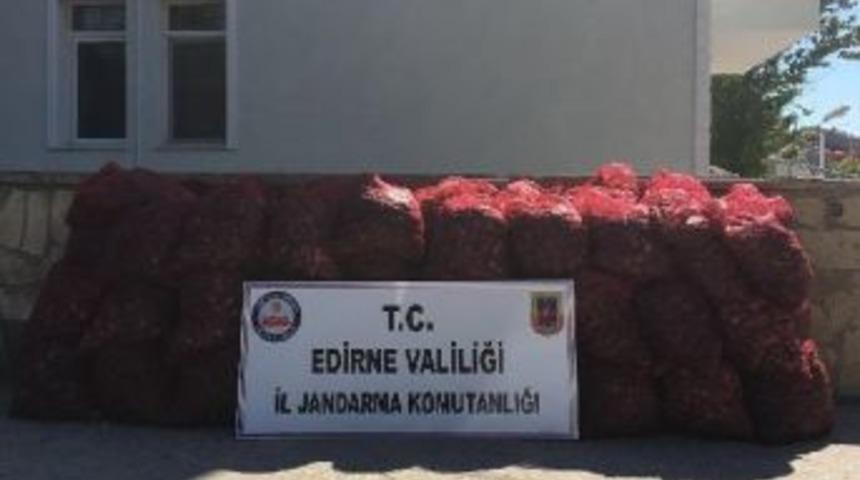 Edirne'de 2 Ton Ka&ccedil;ak Midyeye, 1208 Lira Ceza