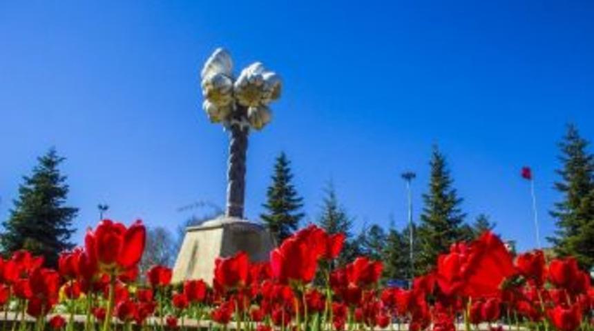 Taşk&ouml;pr&uuml;&rsquo;de Laleler A&ccedil;tı