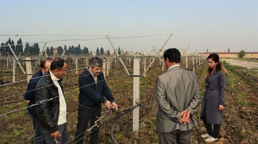 Yunusemreli &Uuml;reticiye Bağcılık Eğitimi