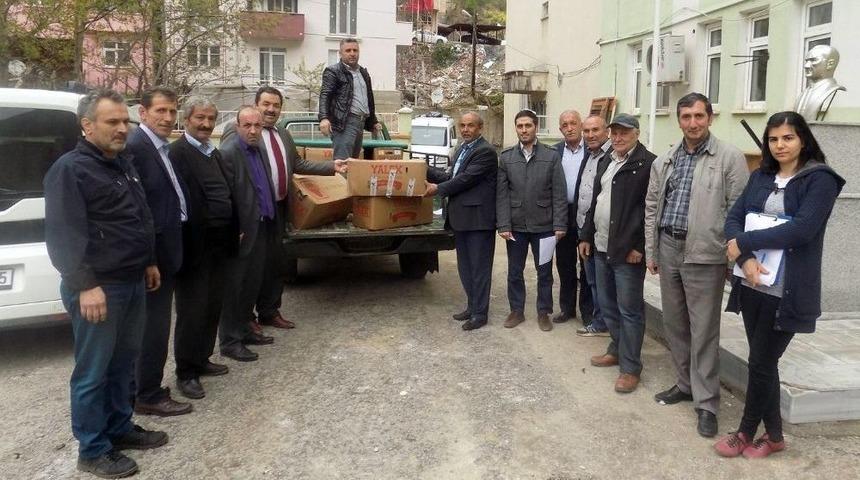 G&uuml;m&uuml;şhane&rsquo;de &Ccedil;ift&ccedil;ilere 50 Bin &Ccedil;ilek Fidesi Dağıtıldı