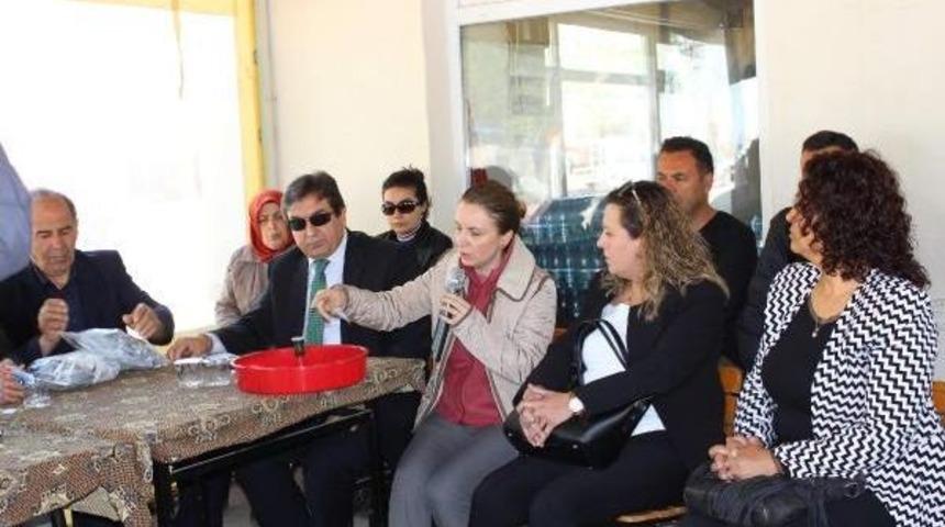 Domates Güvesine Karşı Tuzaklar Araziye Yerleştirildi