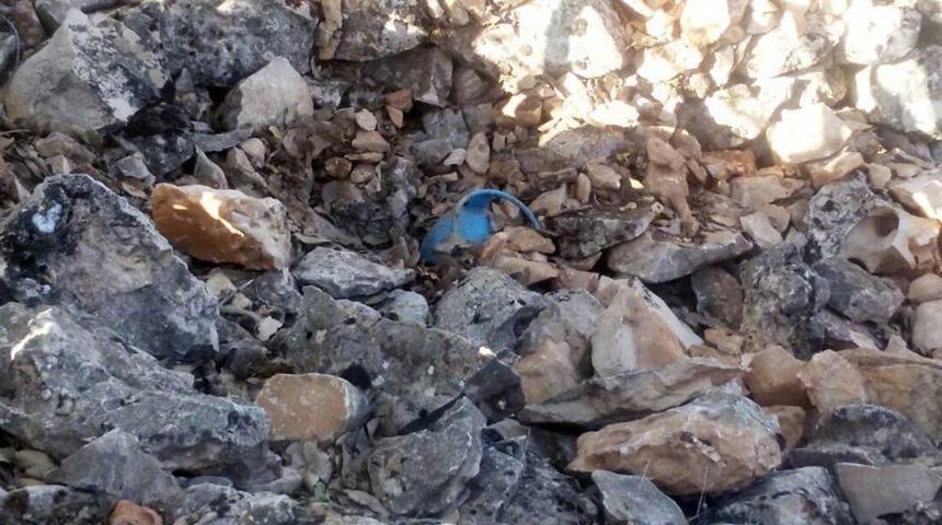 Mardin&rsquo;de Ele Ge&ccedil;irilen Patlayıcı İmha Edildi