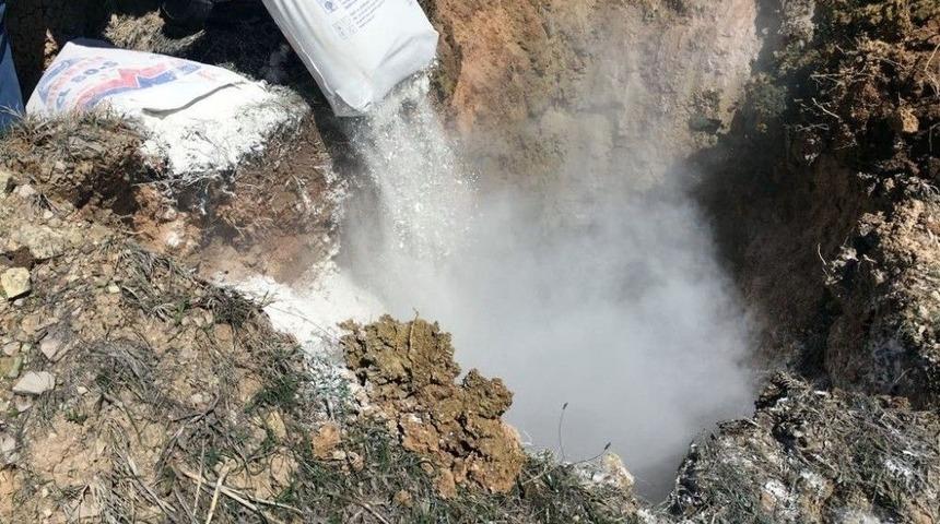 Reşadiye&rsquo;de Kuş Gribi Alarmı