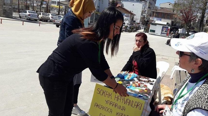 Sokak Hayvanları Aşılandı