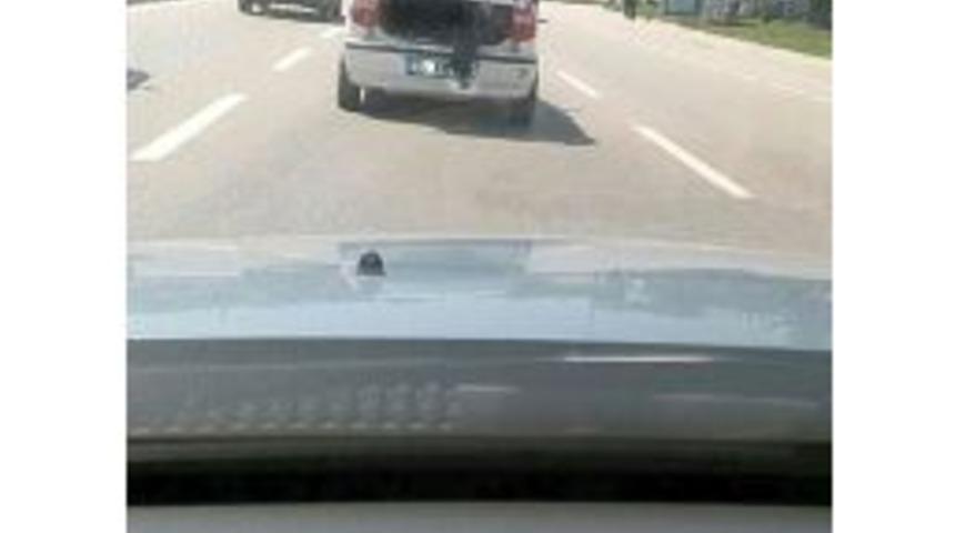 Bagajda &Ouml;l&uuml;m&uuml;ne Yolculuk