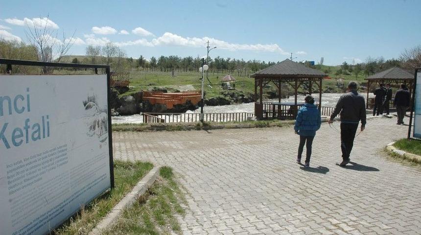 Balık G&ouml;&ccedil;&uuml;n&uuml; Erken İzlemek İsteyen Vatandaşlar Hayal Kırıklığı Yaşadı