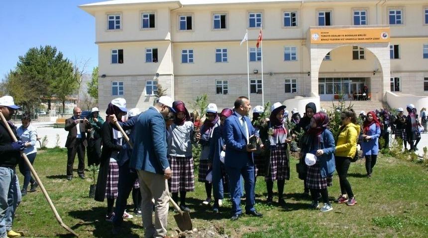 Kardeşleriyle Fidan Diktiler