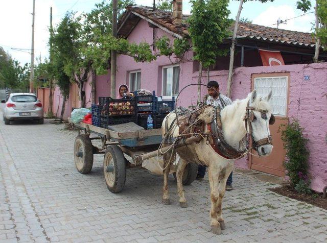 Benzine Para Yetiştiremeyince At Arabasına Geri Döndüler