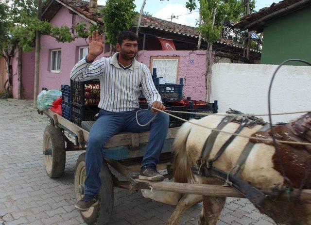 Benzine Para Yetiştiremeyince At Arabasına Geri Döndüler