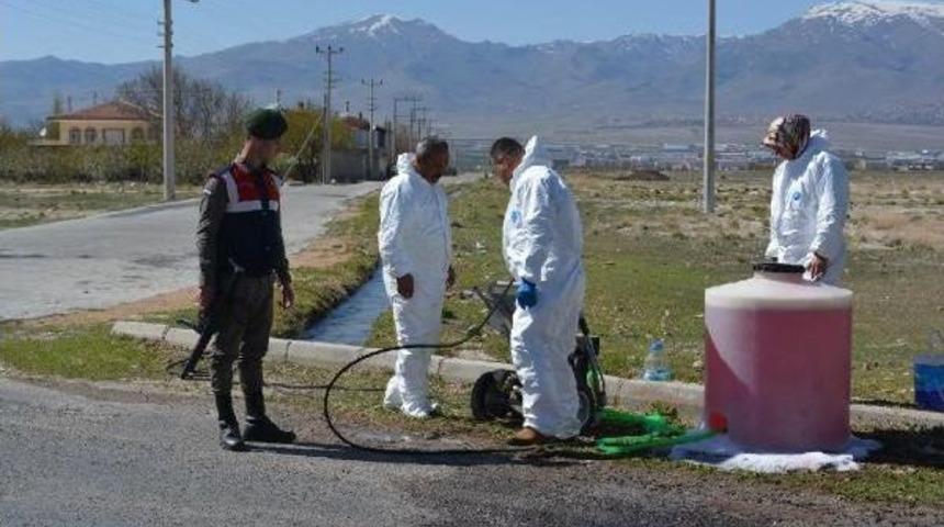 Niğde'de Kuş Gribi Ş&uuml;phesi