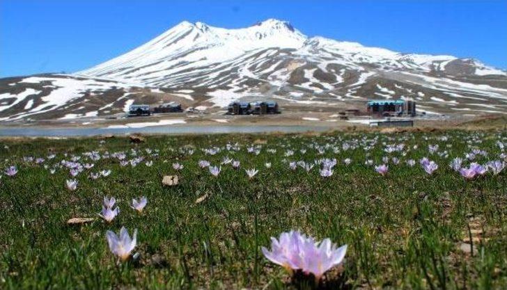 Erciyes Dağı'na Bahar Geldi