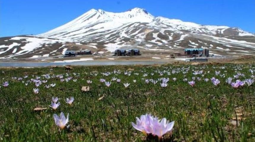 Erciyes Dağı'na Bahar Geldi