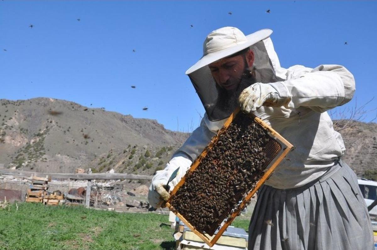 Yatay Kovan &Uuml;retti, İki Kat Bal Elde Etti