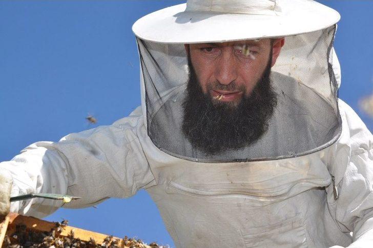 Yatay Kovan Üretti, İki Kat Bal Elde Etti G2