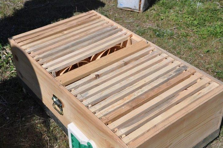 Yatay Kovan Üretti, İki Kat Bal Elde Etti G5