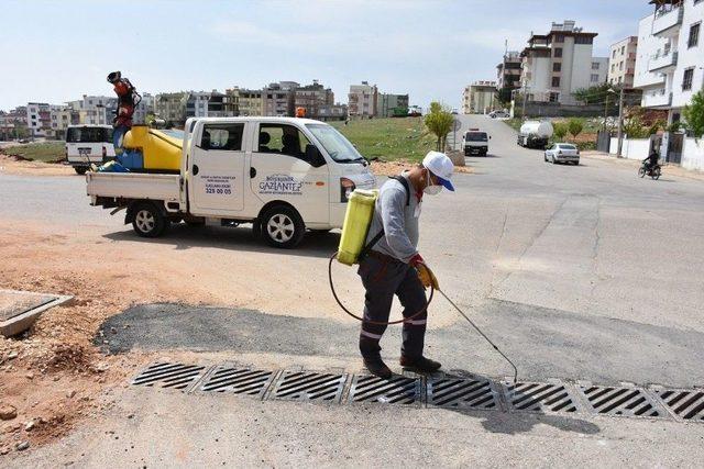 Gaziantep Büyükşehir İlaçlama Çalışmalarını Sürdürüyor