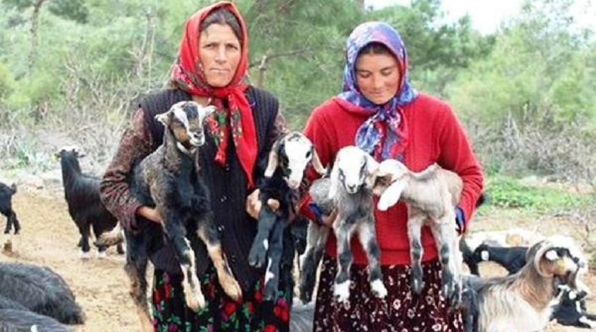 Beydili Y&ouml;r&uuml;klerinin Y&uuml;zlerce Yıllık Geleneği: P&uuml;se