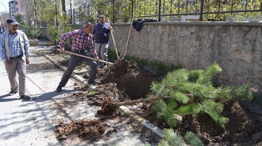 Muş Belediyesinden Yeşillendirme &Ccedil;alışması