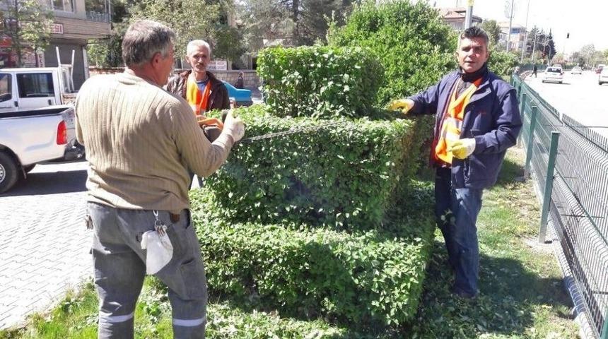 G&ouml;lbaşı İl&ccedil;esinde Bulvarlarda Ve Parklarda Peyzaj &Ccedil;alışması
