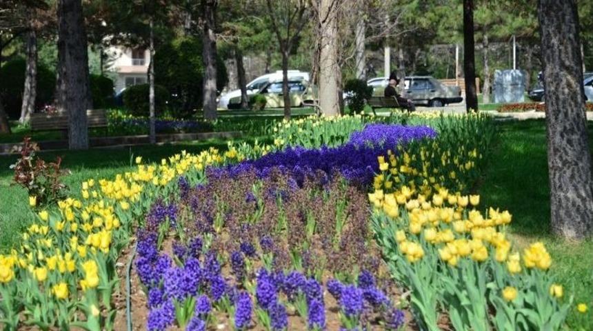 Gediz Yaşam Parkında Renk C&uuml;mb&uuml;ş&uuml;