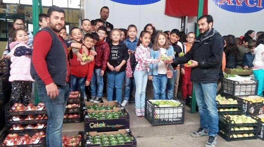 Sebze Halinde Sosyal Bilgiler Dersi